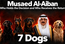 Expanded Investigation: Musaed bin Mohammed Al-Aiban